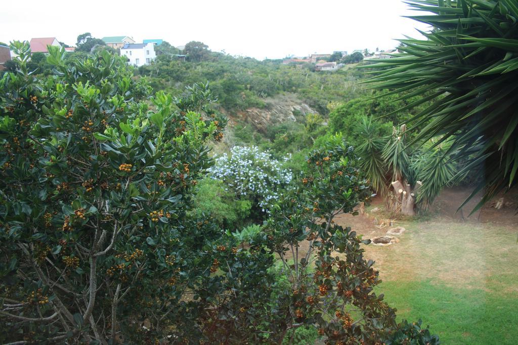 Dolphin View Guesthouse Jeffreys Bay Exterior foto