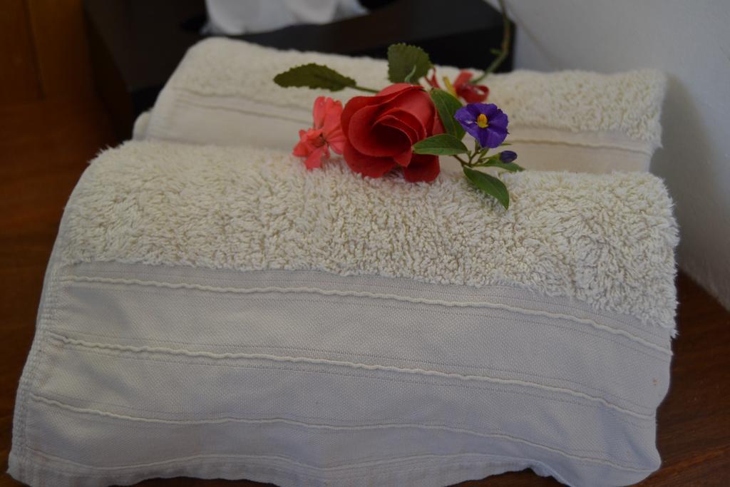 Dolphin View Guesthouse Jeffreys Bay Exterior foto